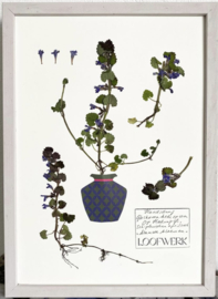 Herbarium Vazen Nr. 2 'Memphis'