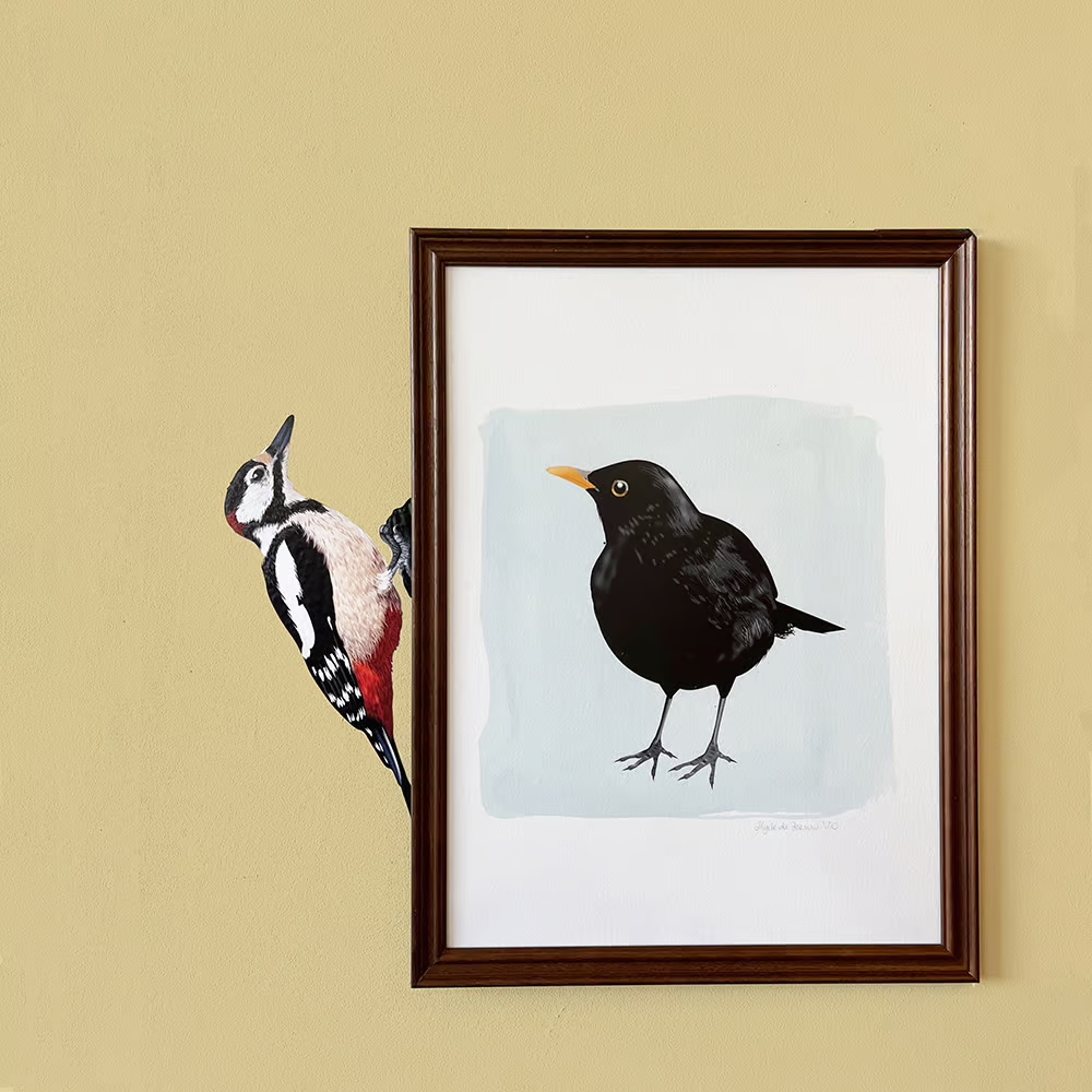 Bonte Specht | Muur-, Camperstickers