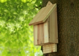 Bat box, single chamber