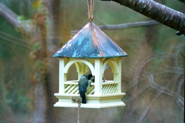Bempton Hanging bird feeder
