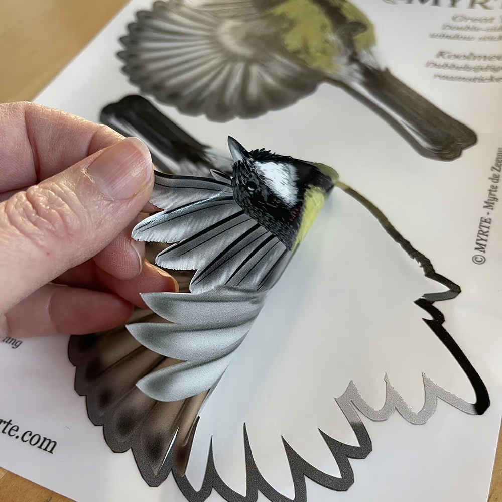 Koolmezen | dubbelzijdige Raamsticker