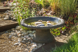 Vogelbad vogelschaal rustiek