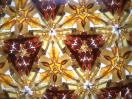 Amber Kaleidoscoop in hazelaarstam