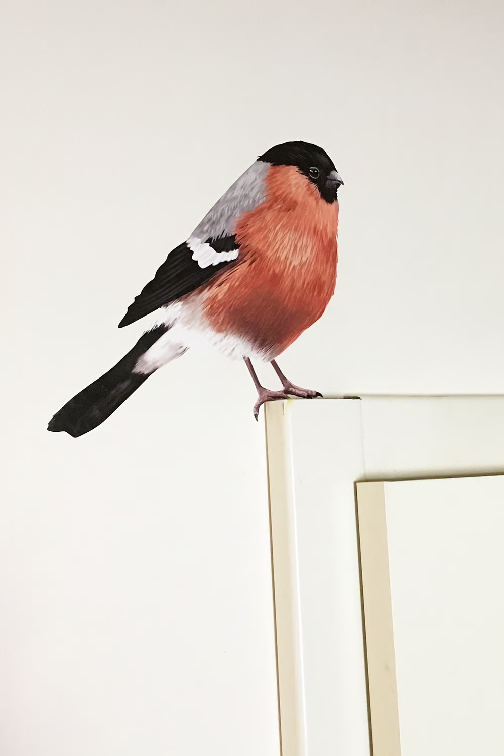 Vinkje | Muur-, Camperstickers