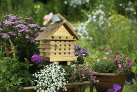 Interaktive Behausung für Solitärbienen