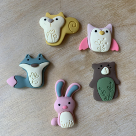 Dieren magneetjes set 5 stuks