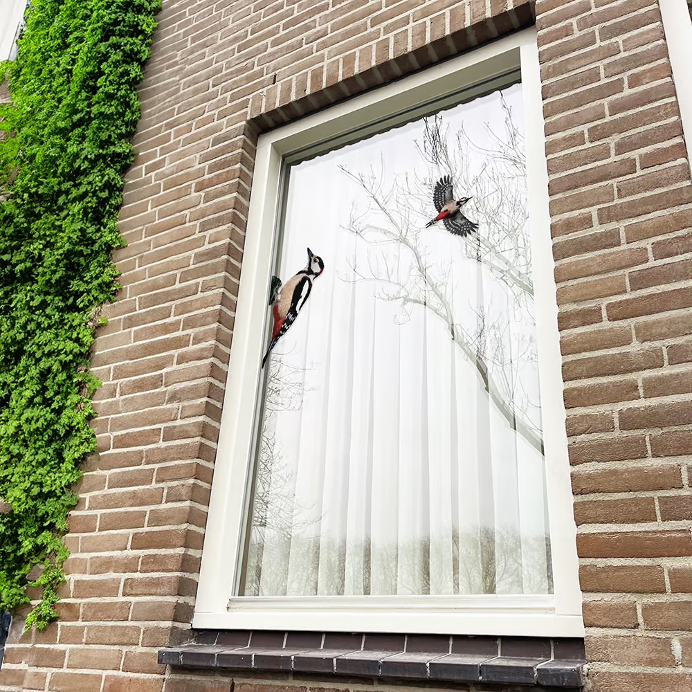 Bonte Specht | dubbelzijdige Raamsticker