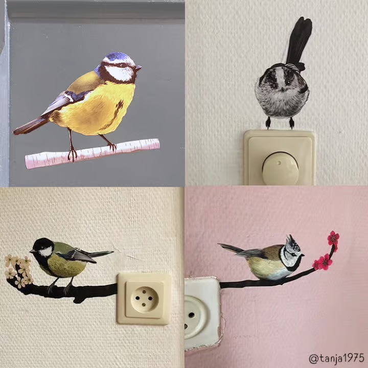 Hoe breng je de Muurstickers aan