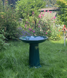 Bird bath petrol on foot