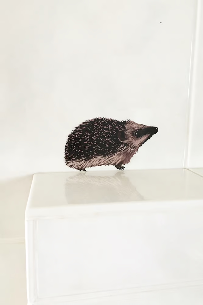 Egel | Muur-, Camperstickers