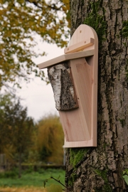 Tree Creeper nestbox