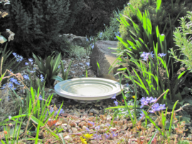 Vogelbad en insekten drinkschaal