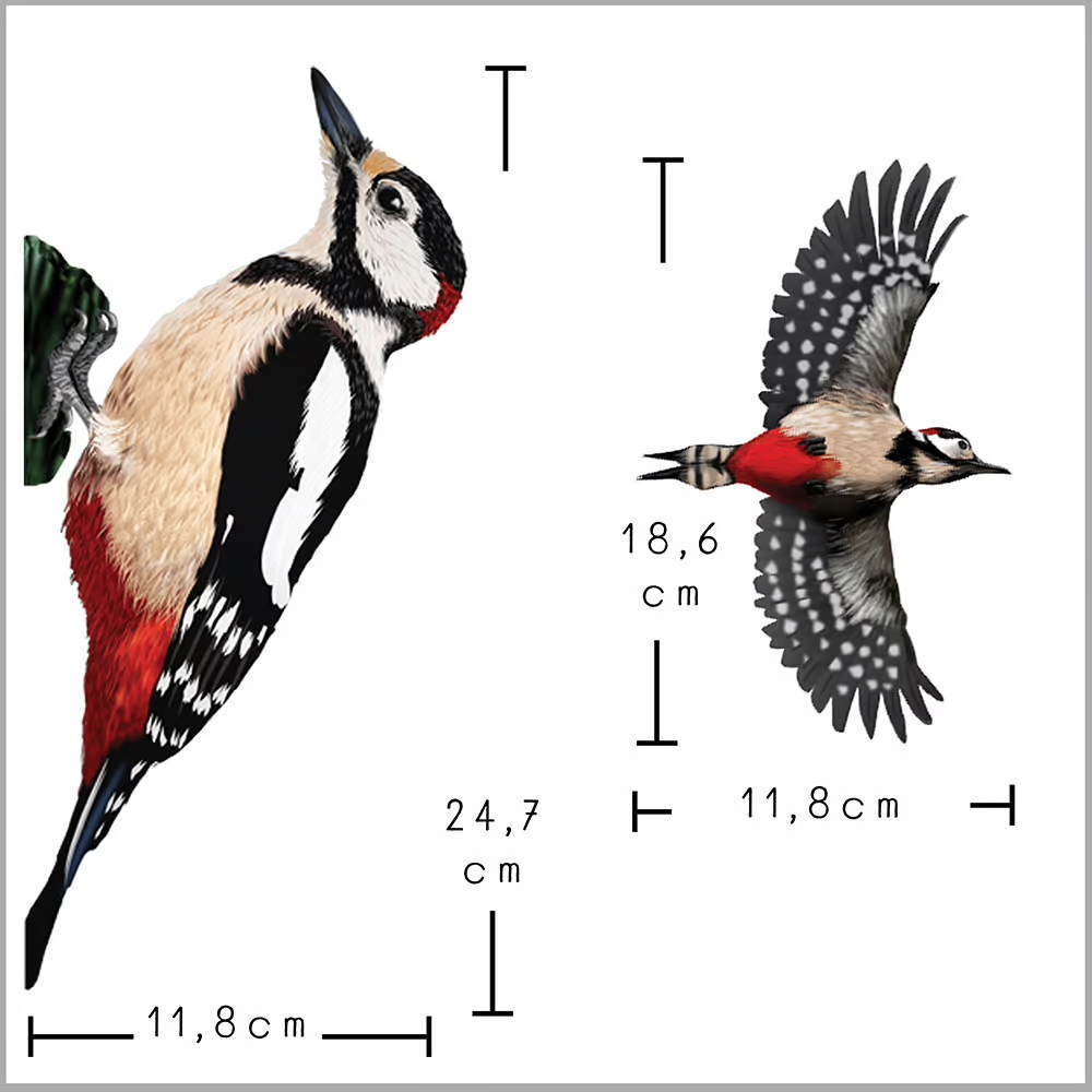 Bonte Specht | dubbelzijdige Raamsticker