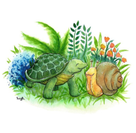 Schildpad en slak