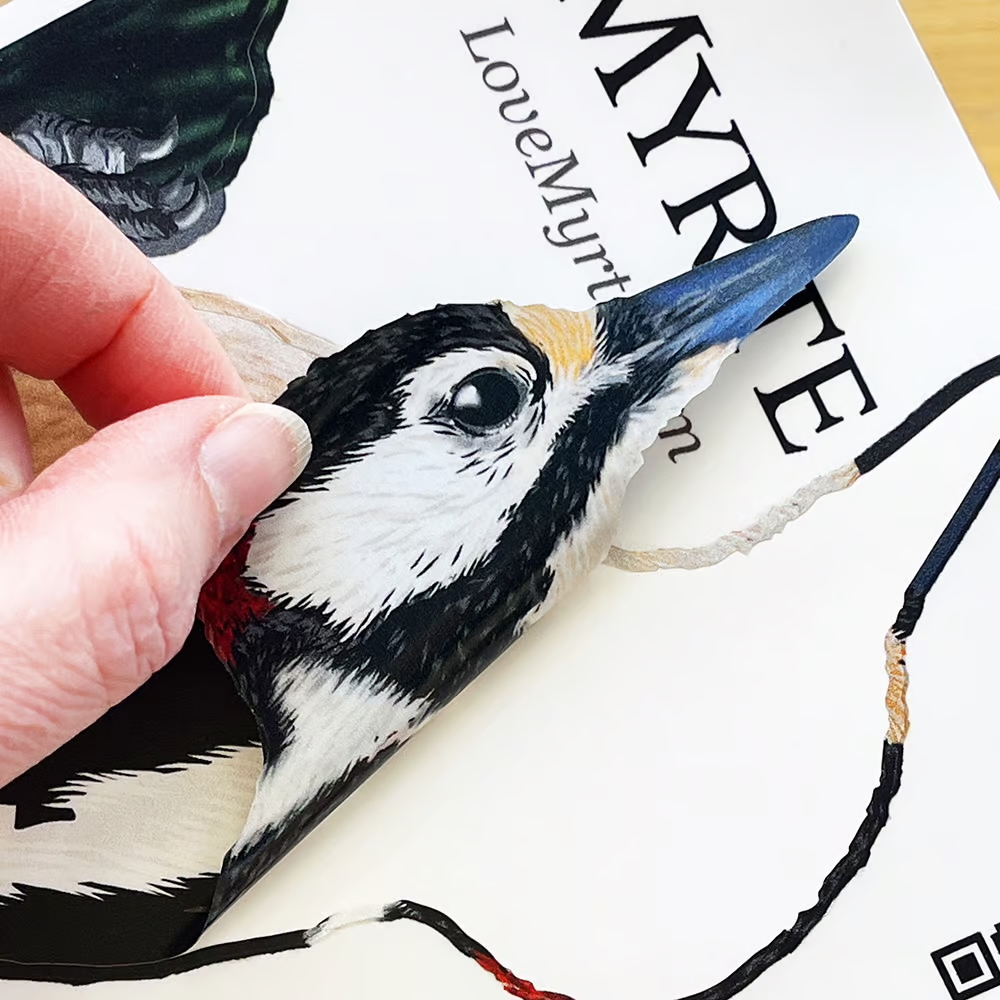 Bonte Specht | dubbelzijdige Raamsticker