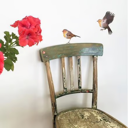 Roodborst | Muur-, Camperstickers