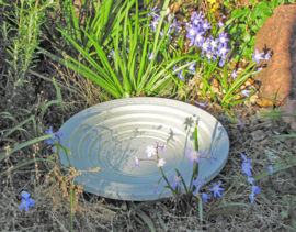 Vogelbad en insekten drinkschaal