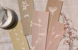 5 wildebloemen kaarten met zakje rode klaverzaadjes
