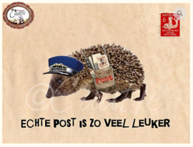 CT 135 ansichtkaart, Echte post is zo veel leuker