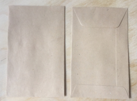 1 Brown envelope: 6,5 by 10,5 cm