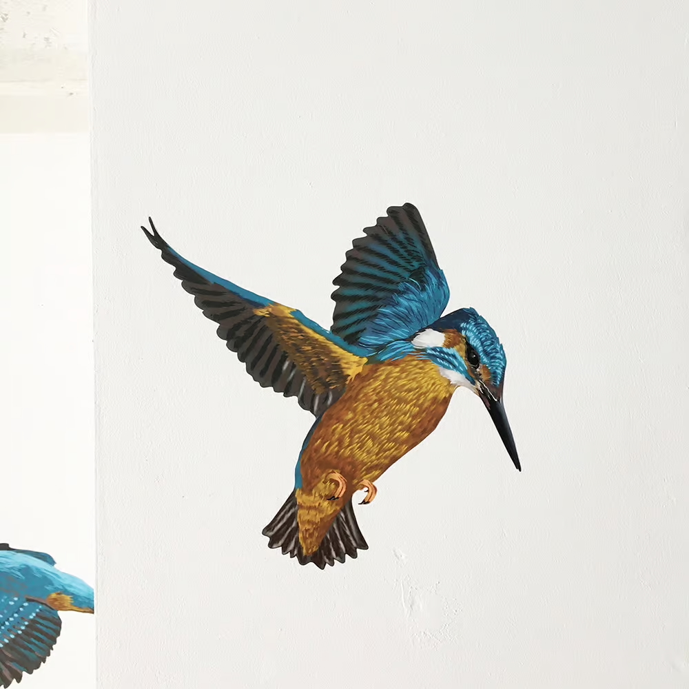 IJsvogels | Muur-, Camperstickers