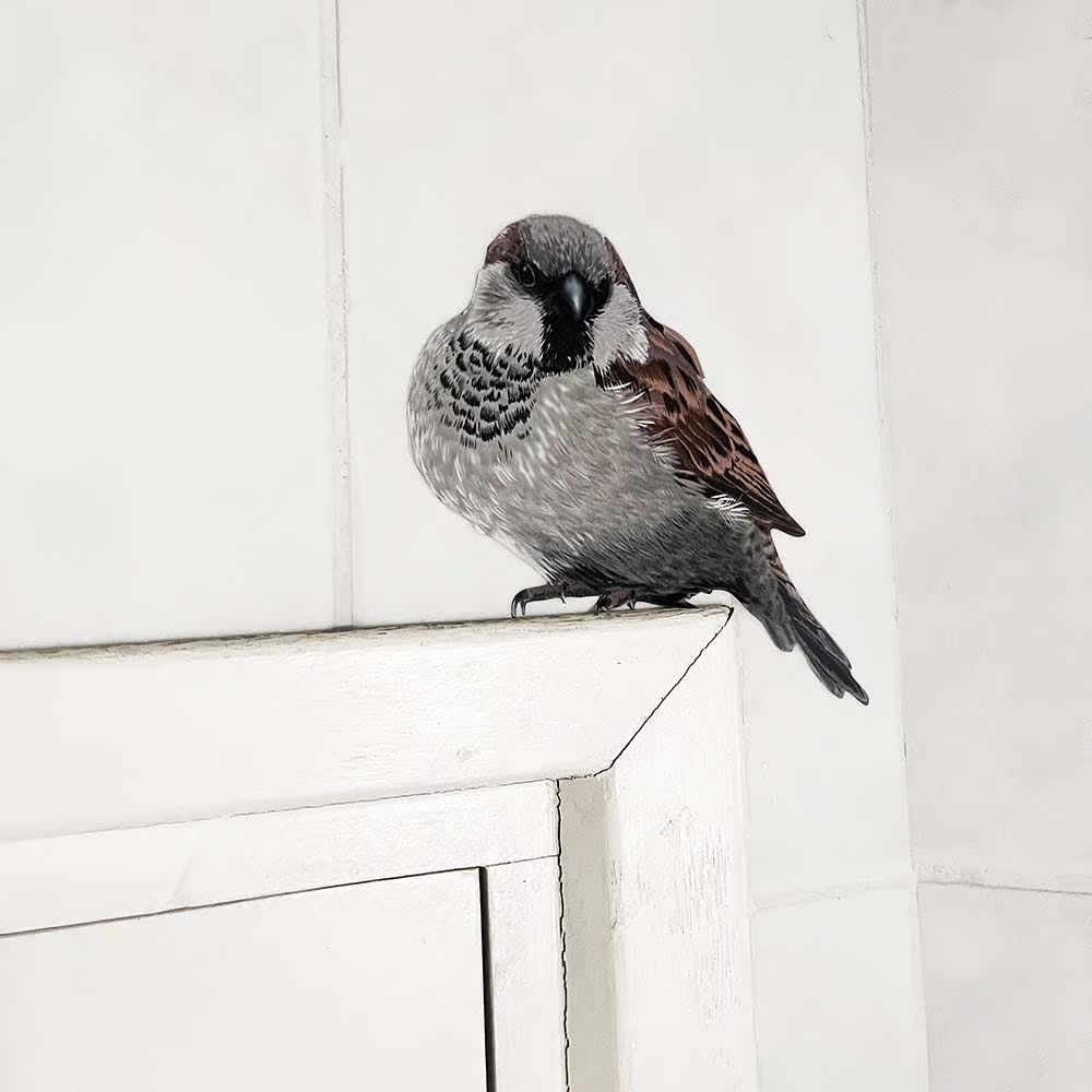 Huismus 1 | Muur-, Camperstickers