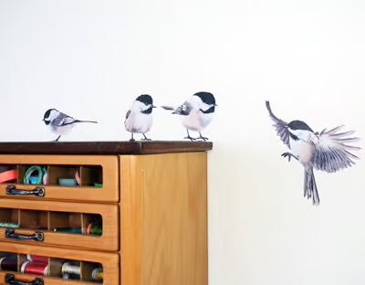 Matkop Mees | Muur-, Camperstickers