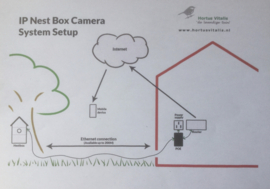 Mini Dome IP Camera Kit