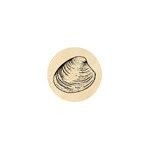 Clam schelp 13 mm