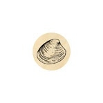 Muschelschale 13 mm