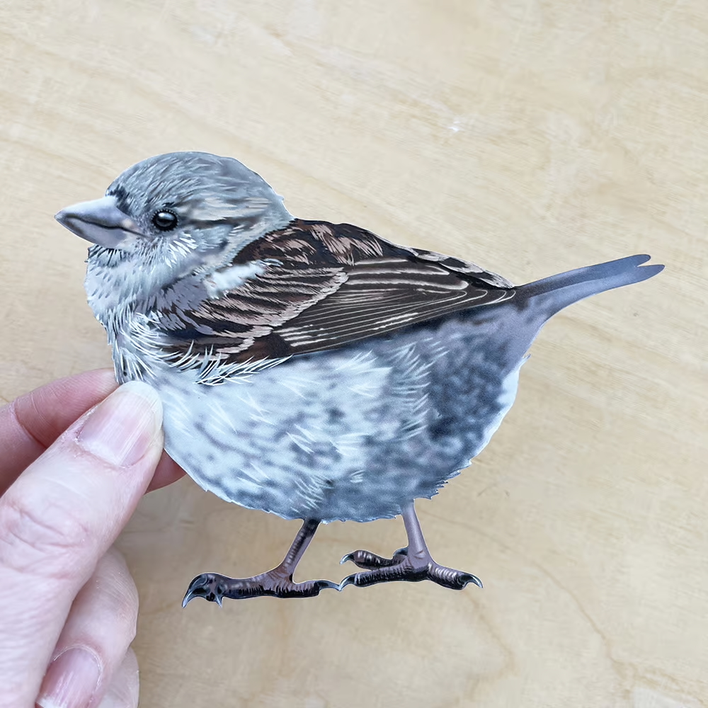 Huismus 1 | Muur-, Camperstickers