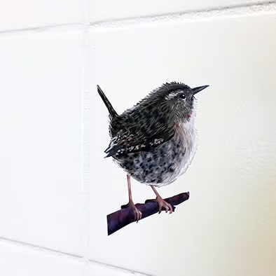 Vogels in blauw en bruin | Muur-, Campersticker