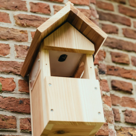 Vogelhuisje met Wifi Camera