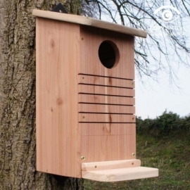 Squirrel Nest box