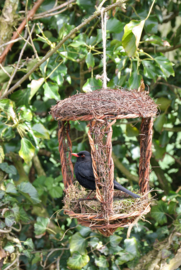 Open Nestbuddy van kreupelhout