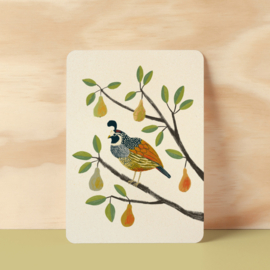 Postcard | Partridge in a pear tree