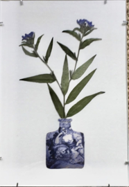 Herbarium Vazen Nr. 1 'Rotterdams blauw'
