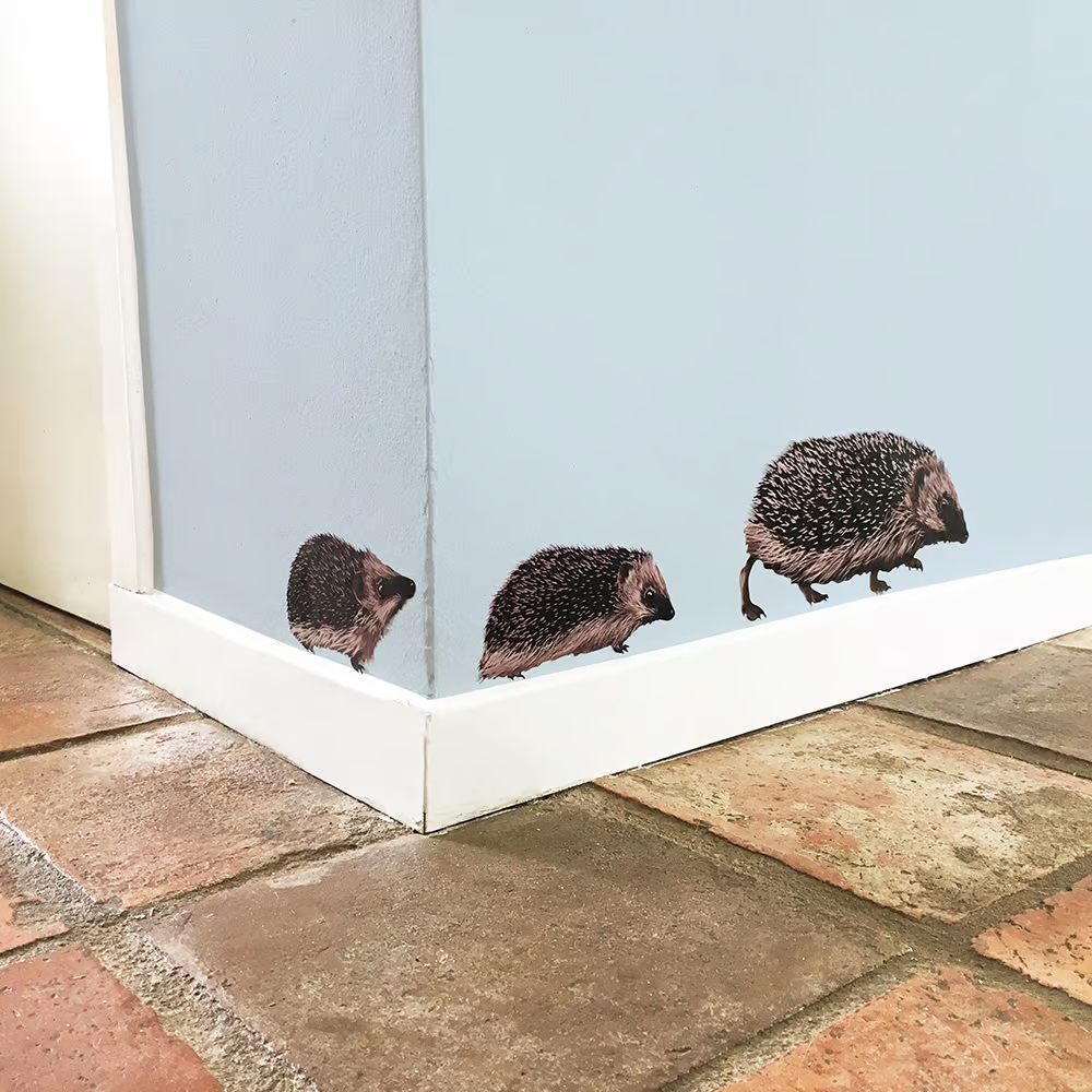 Egel | Muur-, Camperstickers