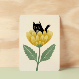 Postcard | Surprise