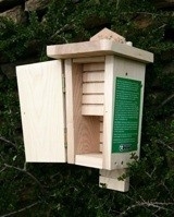 Bat box, dubble chamber