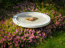 Shenstone Theatre Bird bath and drinker