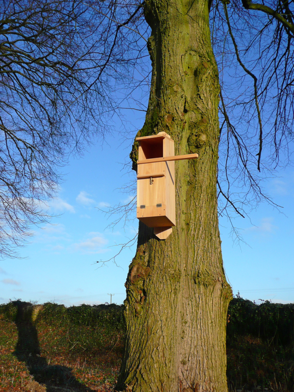 Nieuw Bosuil nestkast | NESTKASTEN voor vogels | Hortus Vitalis - de QG-27