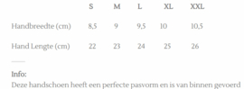 Ideal menhandschoen Winter