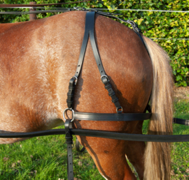 EcoLine Tuig Mini-Shet en Shetlander en Pony