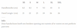 Ideal menhandschoen Profi