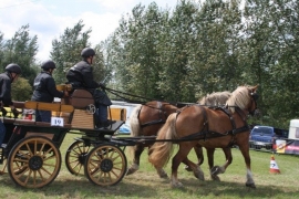 Ideal Trekpaard Staartriem met culeron