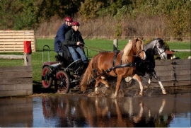 Ideal EuroTech tweespan Pony