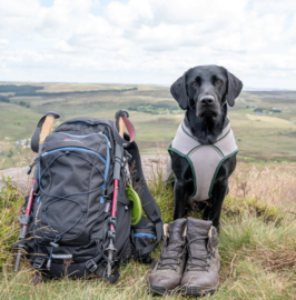 Ruff & Tumble Dog Cooling coat