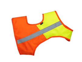 Mystique Veiligheidsvest