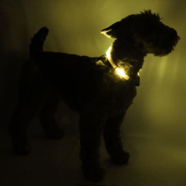 LEUCHTIE Easy Charge - Sunny Geel